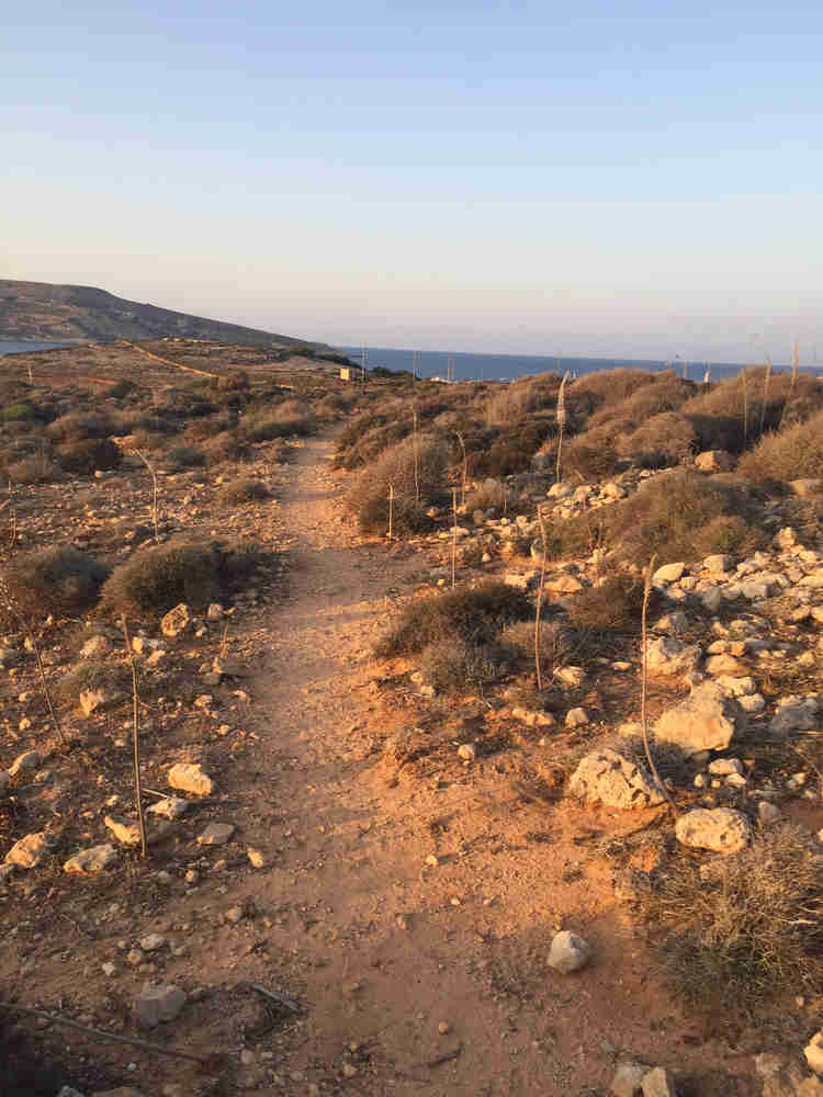 comino hotel punk rock princess malta