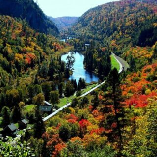 Is Your Dog Sick? 12 Signs You Should Take Them To The Vet