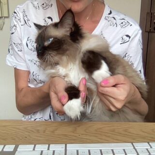 Air Travel Tips: Before You Book Your Next Flight