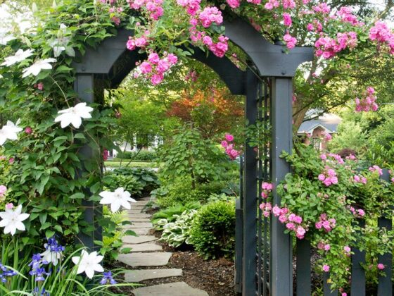 How To Still Enjoy Your Garden In Winter