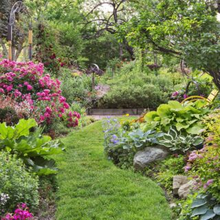 Tips on How to Look Beautiful Every Day