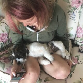 Are clean, sleek lines fashionable?