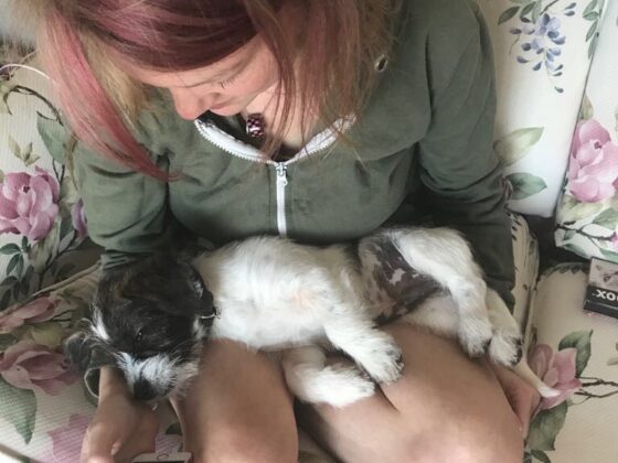 How To Tell Your Dog, “I Love You”