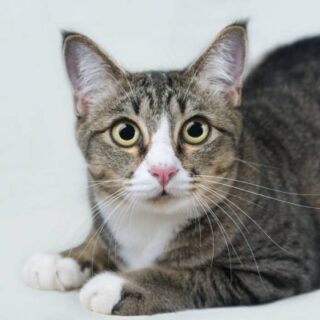 Gear Up for Summer with Hot Sunglasses