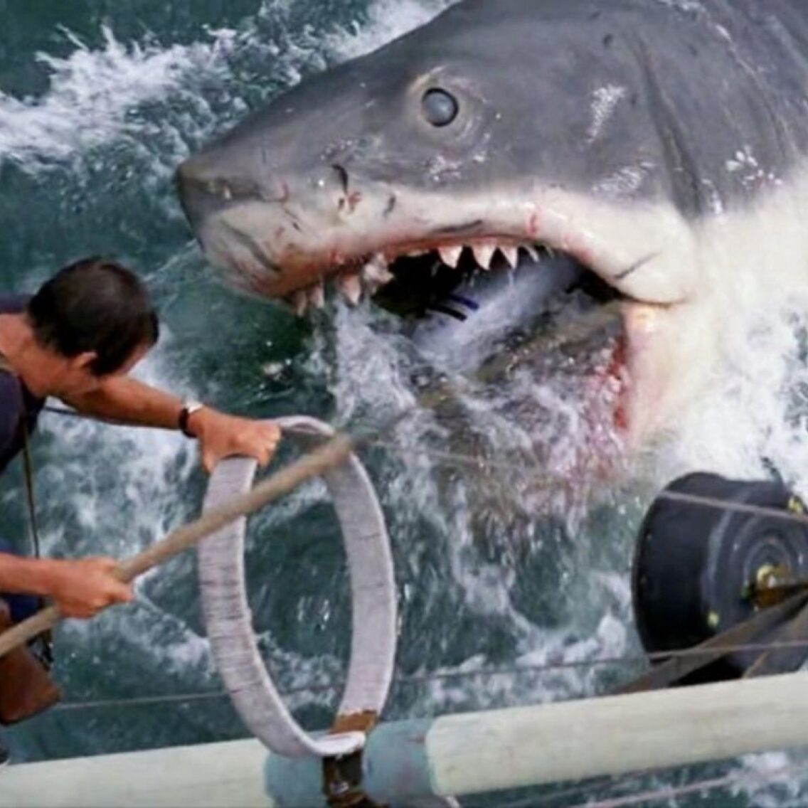 Jaws: Shocking secrets of Spielberg’s thriller