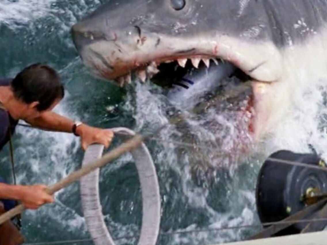 Jaws: Shocking secrets of Spielberg’s thriller