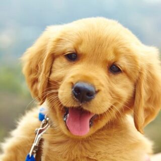 Read This Guide Before Your First Trip To The USA