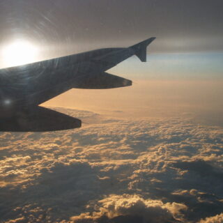 Bitten By A Pet Dog Around Your Friend’s House?