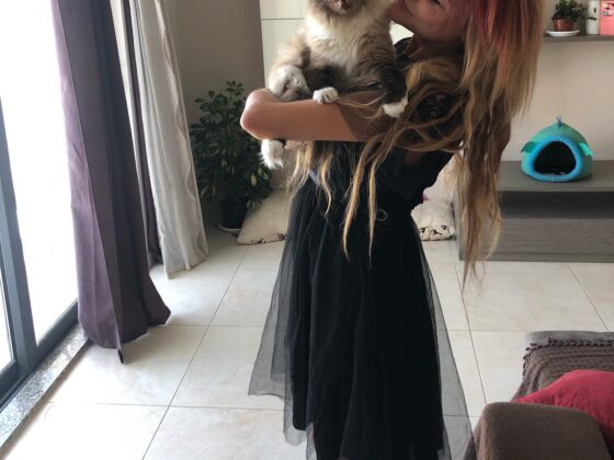 How To Keep Yourself Entertained At Home