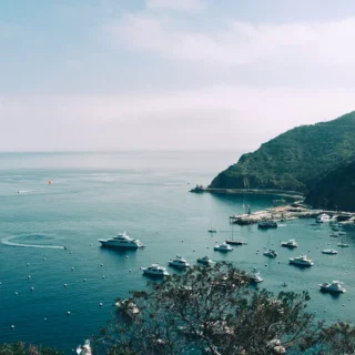 This Is Why What You Eat Really Matters