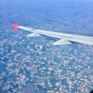 Building A Brilliant Bond With Your New Dog