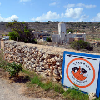 Must-Try Top Carbonara Recipes