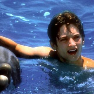 Must Try Top 10 Sweet Pie Recipes!