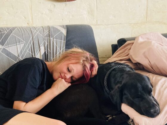 Should You Bring Your Dog on Vacation?