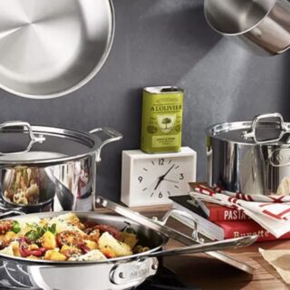 10 Reasons To Get A Ragdoll Kitten