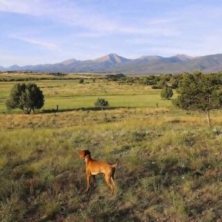 Road Trip Prep: Make Sure Your Car is Ready