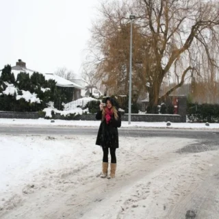 Top 10 Cat Behaviors Explained: What Your Furry Friend Means