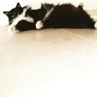 Beyond X-Factor: 3 Other Ways To Promote Your Music