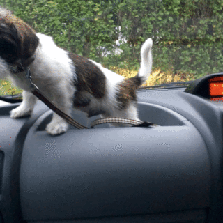 Every November 2023 Video Game Release Date