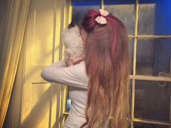 Thoughtful DIY Gifts for Pet Lovers