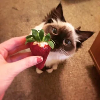 Is It Time You Took Your Creativity Seriously?