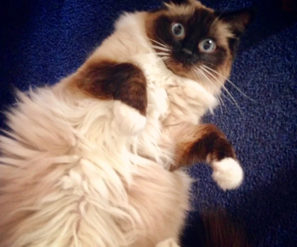 Are You So Lethargic Lately?