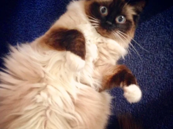 Are You So Lethargic Lately?