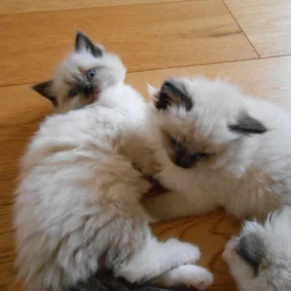 How To Get Ready For The Ultimate Trip