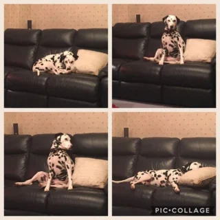 How To Get Ready For The Ultimate Trip