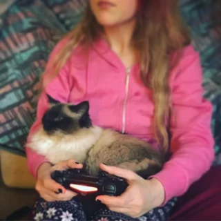 Enlightenment: Your 7-Day Program to Positive Thinking