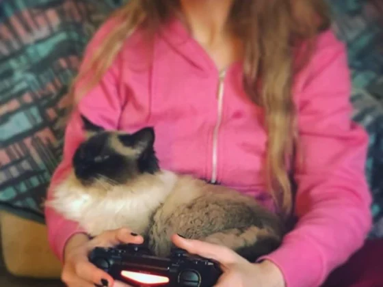 How to Pet-Proof Your Home | Puppy & Kitten Safety Tips