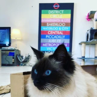 17 Secrets Fast Food Chains Don’t Want You to Know