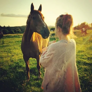 52 Free Things To Do With Your Partner On Date Night