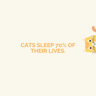 The Jellyman’s Daughter: Interview with the Scottish Folk Duo