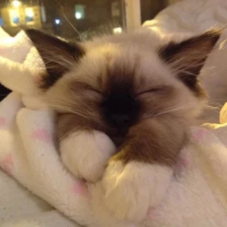 3 Confidence Boosters That Actually Work