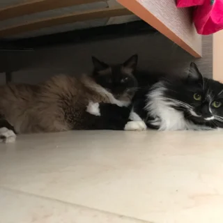 Guide to Building Your Home Music Studio