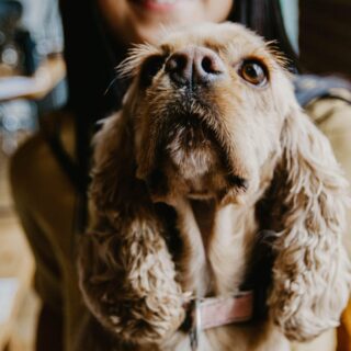 Rejuvenating Your Skin: Simple Tips