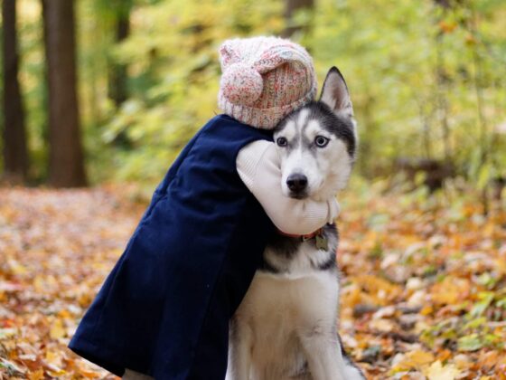 7 Tips To Keep Your Dog Healthy