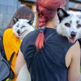 Crazy Fun Facts About “The Good Place”