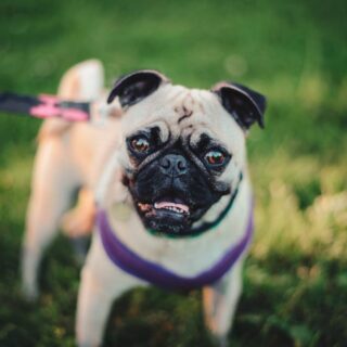 Decode Your Nightmares