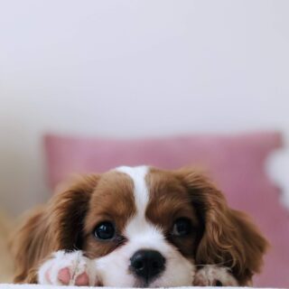 Road Trip Advice For Couples