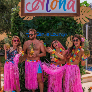 Why Does Your Cat Always Beg For Food?