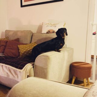 Stephanie Land’s Journey: From Maid to Success Story