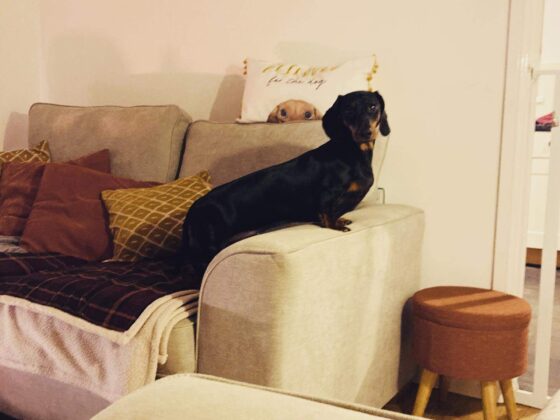 Simple Ways To Make Your Confidence Soar