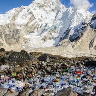 Your Femme 4 Dress Outfits: How to Stay Stylish All Year Round