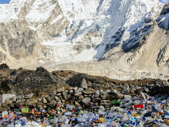 3 Eye-Opening Facts to Embrace Sustainability