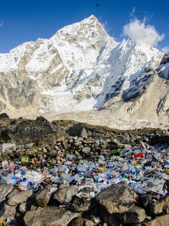 3 Eye-Opening Facts to Embrace Sustainability