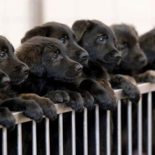 Australia’s Surprising Facts: 10 Things You Didn’t Know