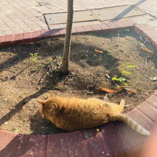 Embrace Change: Create Your Vibrant Future Today