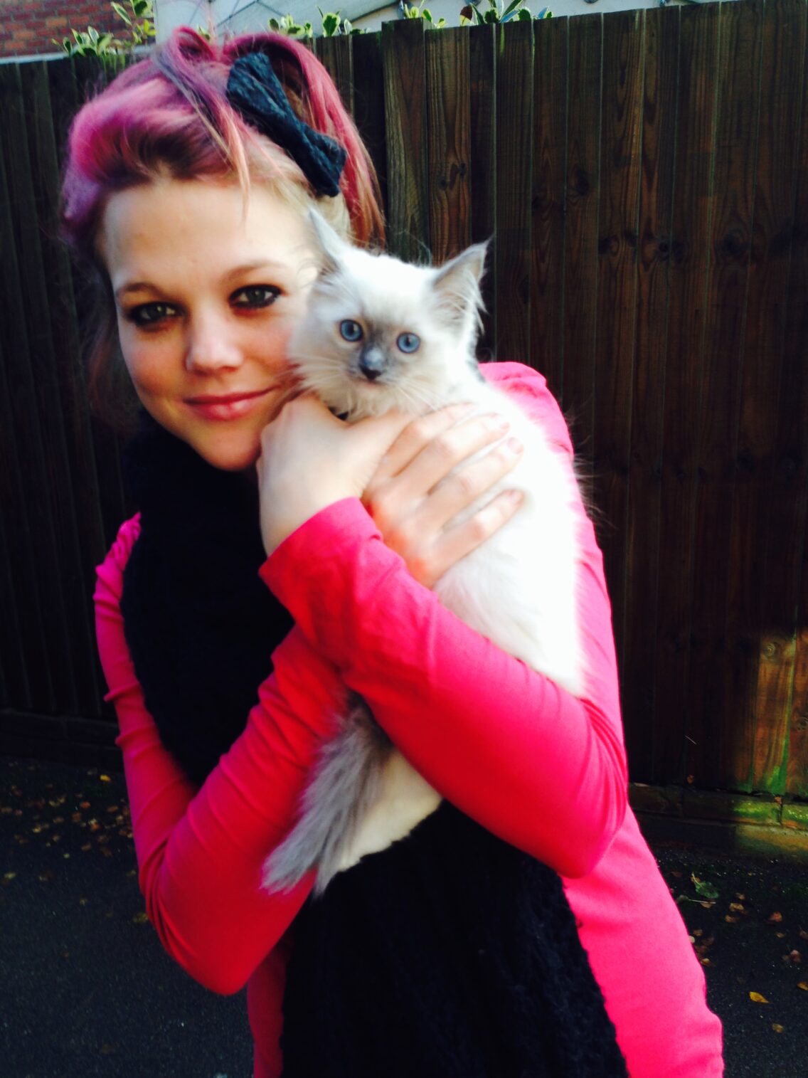 Why These Friendly Cat Breeds Deserve More Attention